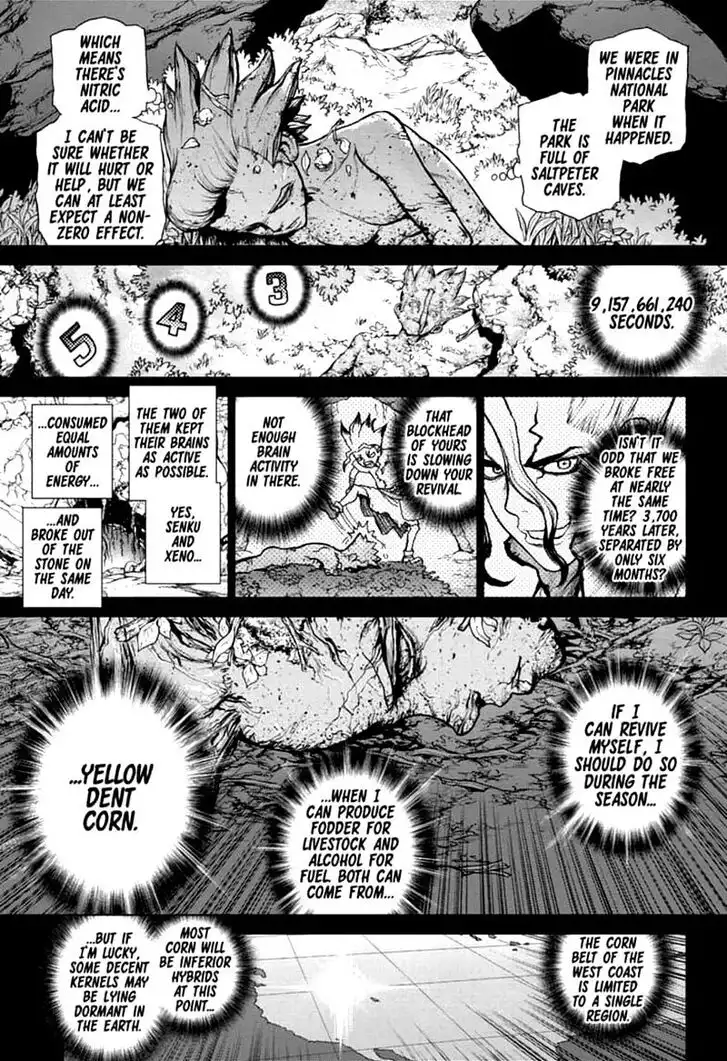 Dr. Stone Chapter 157 14